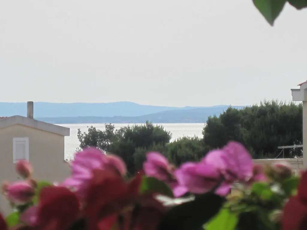 Apartments Villa Violet Zadar